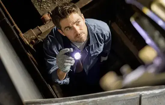 Pest Inspection in Cedar City, UT